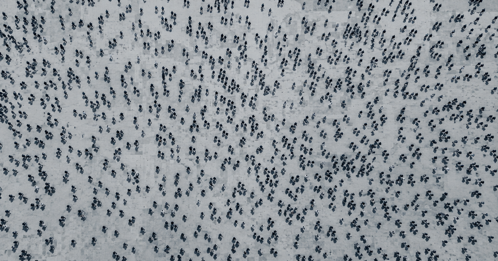 From 400 Feet Up, Everyone's a Blueberry