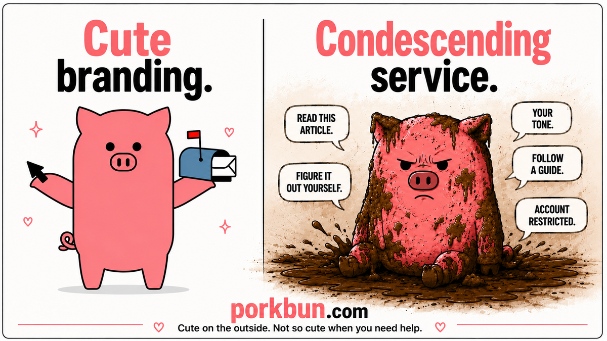 Porkbun.com - When Customer Support Turns Patronizing — and Punishes You for Speaking Up