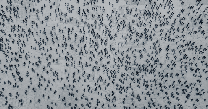 From 400 Feet Up, Everyone's a Blueberry
